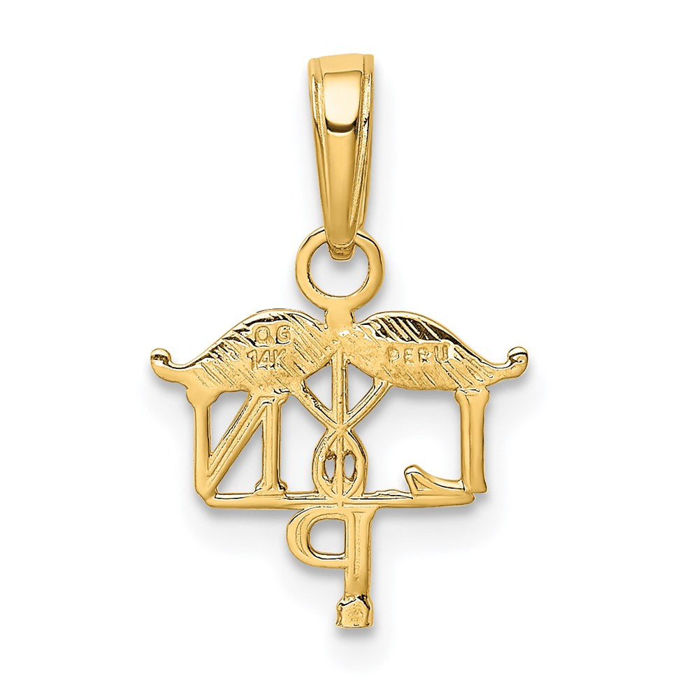 14K Yellow Gold Lpn Symbol Pendant