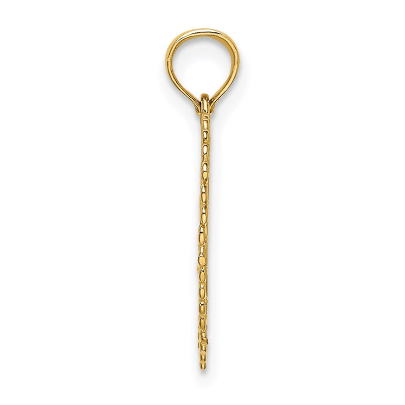 14K Yellow Gold Polished Daddys Little Girl Textured Heart Charm