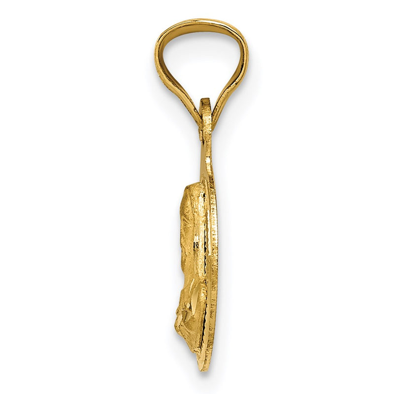 14K Yellow Gold Polished D/C Sagrado Corazon Circle Pendant