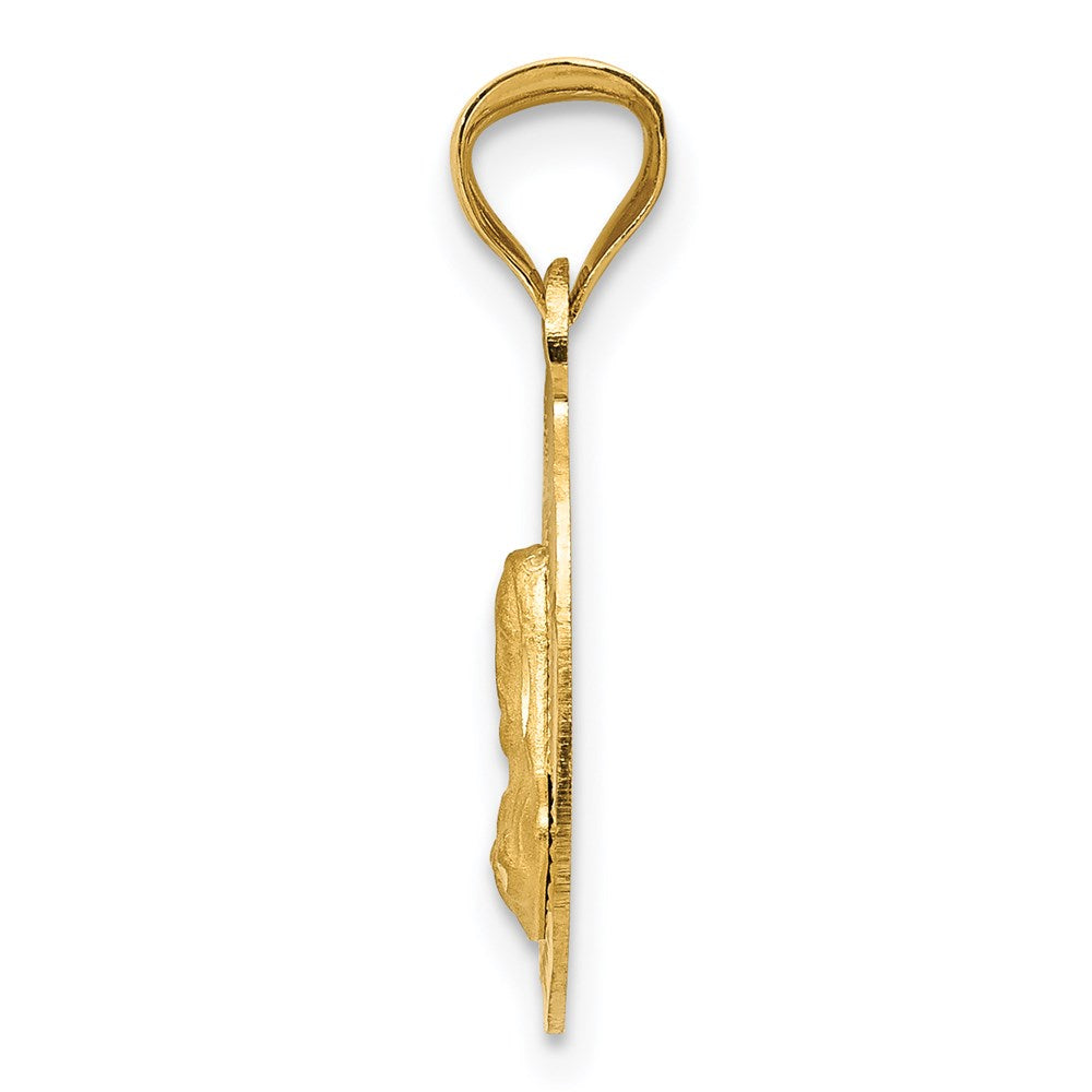 14K Yellow Gold Polished D/C Sagrado Corazon Oval Pendant