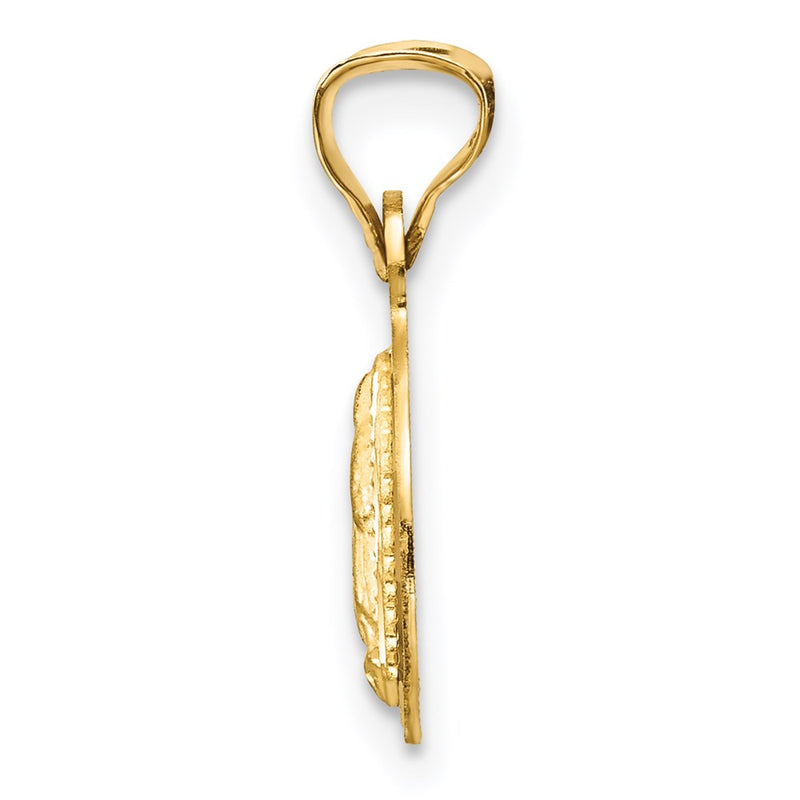 14K Yellow & Rhodium W/Rhodium Polished D/C Lady Of Guadalupe Circle Pendant