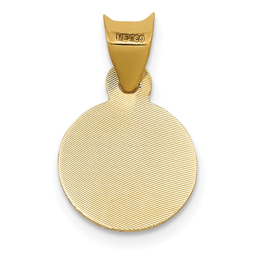 14K Yellow & Rhodium W/Rhodium Polished D/C Lady Of Guadalupe Circle Pendant