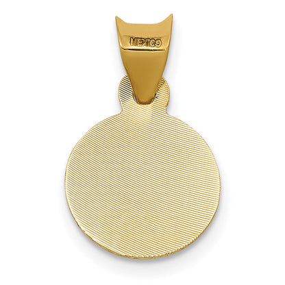 14K Yellow & Rhodium W/Rhodium Polished D/C Lady Of Guadalupe Circle Pendant