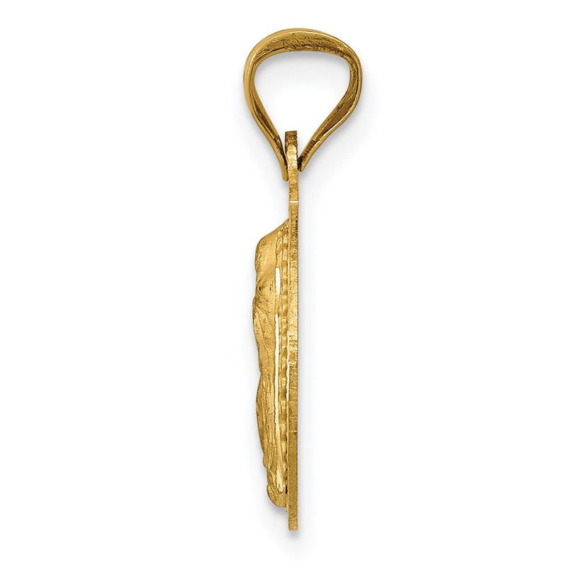 14K Yellow & Rhodium W/Rhodium Polished D/C Lady Of Guadalupe Circle Pendant