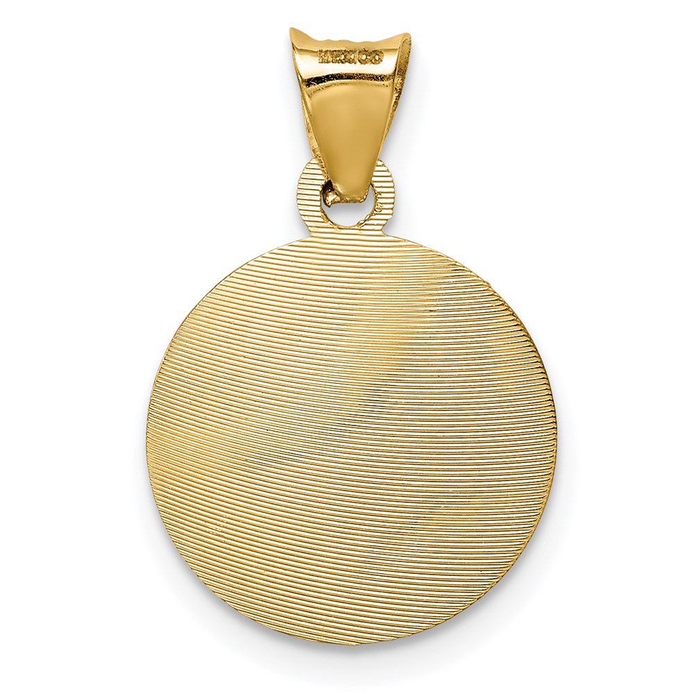 14K Yellow & Rhodium W/Rhodium Polished D/C Lady Of Guadalupe Circle Pendant