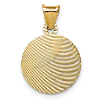 14K Yellow & Rhodium W/Rhodium Polished D/C Lady Of Guadalupe Circle Pendant