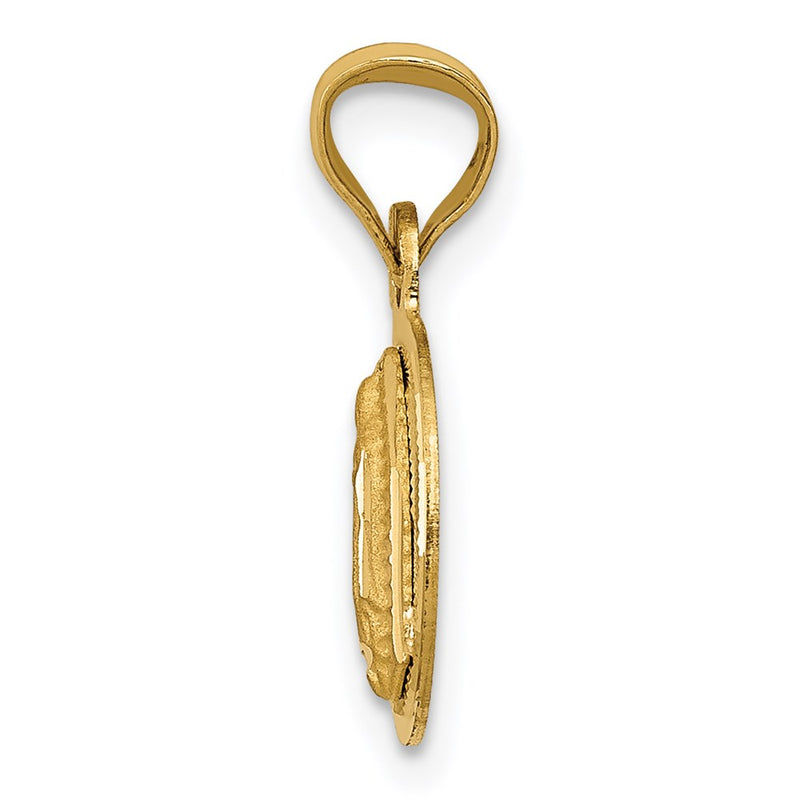 14K Yellow Gold Polished D/C Lady Of Guadalupe Circle Pendant