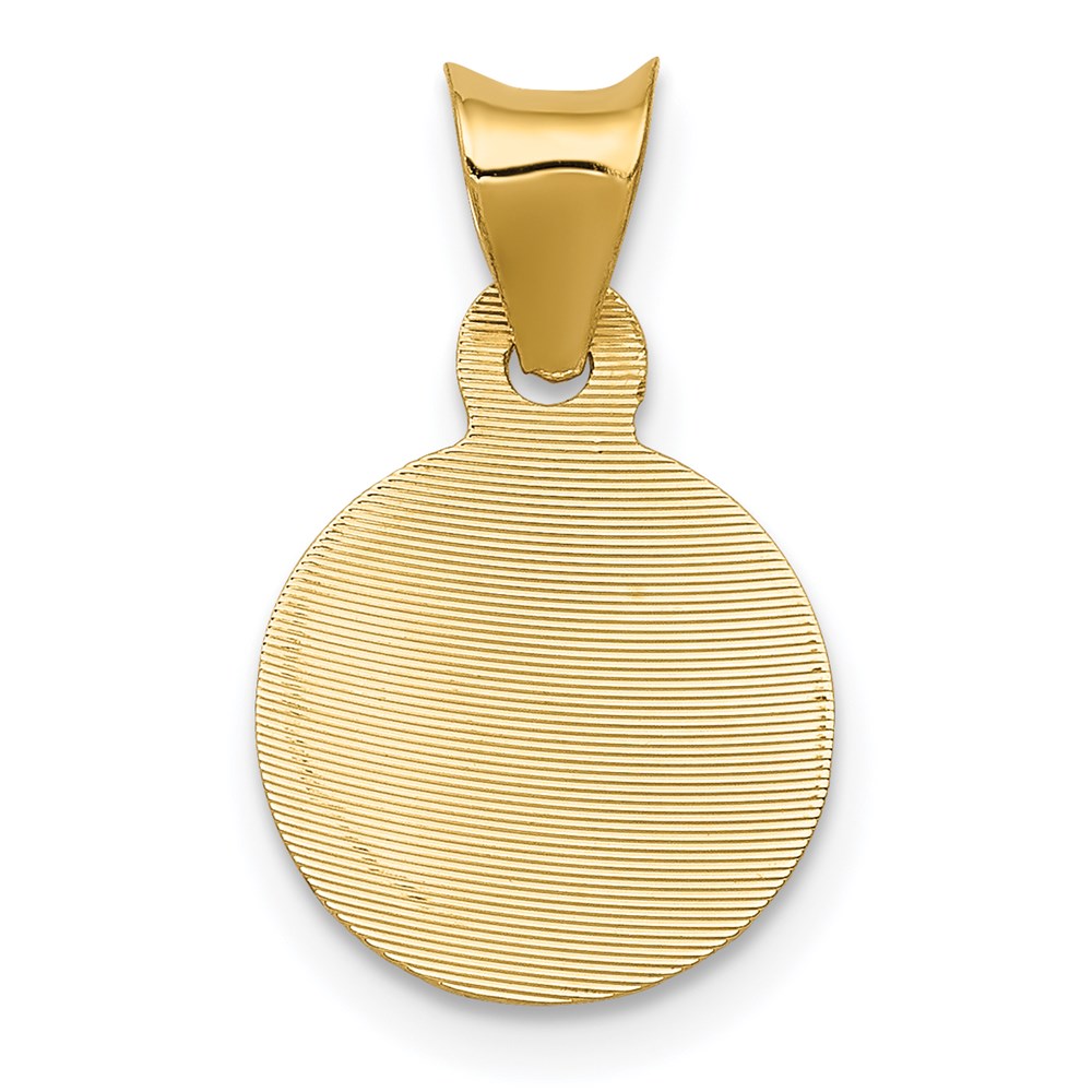 14K Yellow Gold Polished D/C Lady Of Guadalupe Circle Pendant