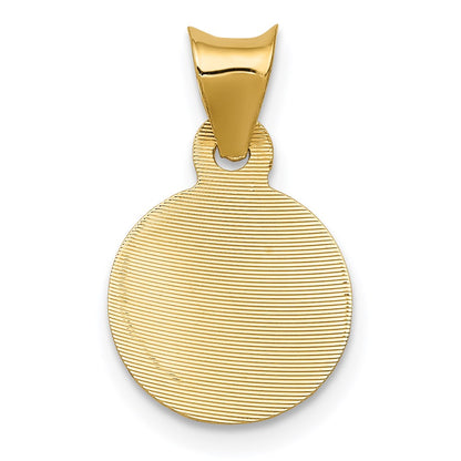 14K Yellow Gold Polished D/C Lady Of Guadalupe Circle Pendant
