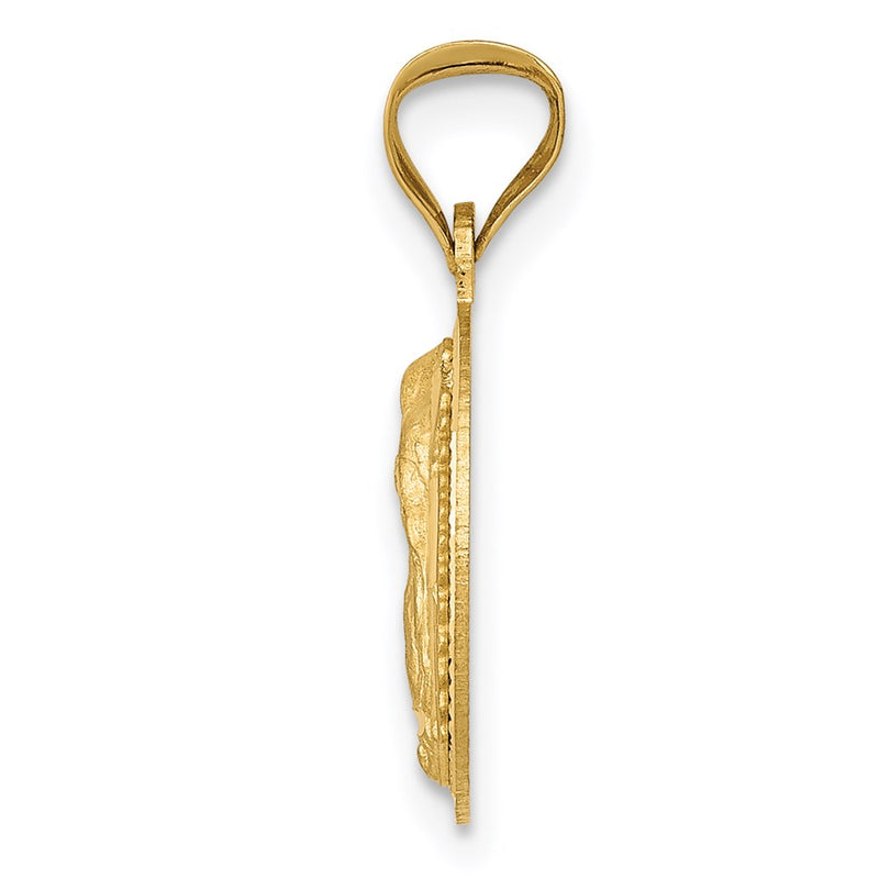 14K Yellow Gold Polished D/C Lady Of Guadalupe Circle Pendant