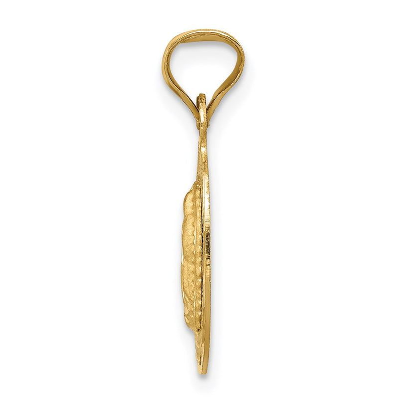 14K Yellow Gold Polished D/C Lady Of Guadalupe Oval Pendant
