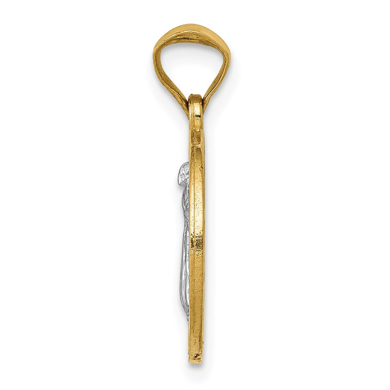 14K Yellow & Rhodium With Circle St. Benedict Medal Pendant