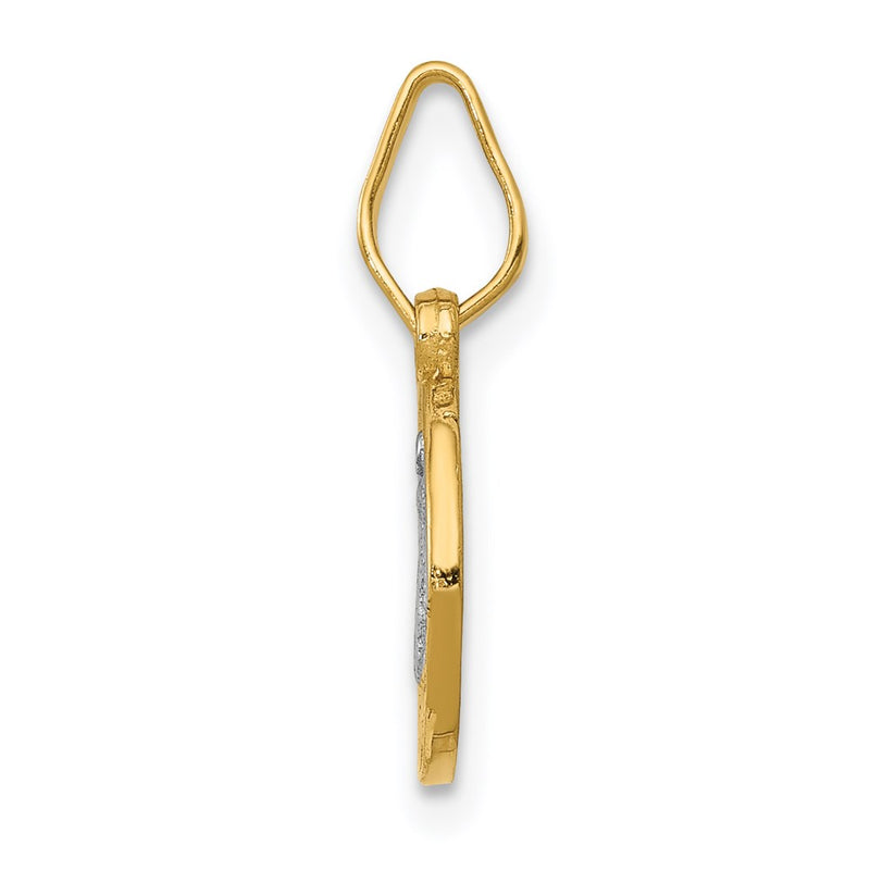 14K Yellow & Rhodium With Circle St. Benedict Medal Pendant