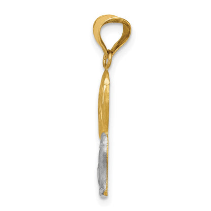 14K Yellow & Rhodium W/Rhodium D/C Boy Communion Semi-Solid Pendant