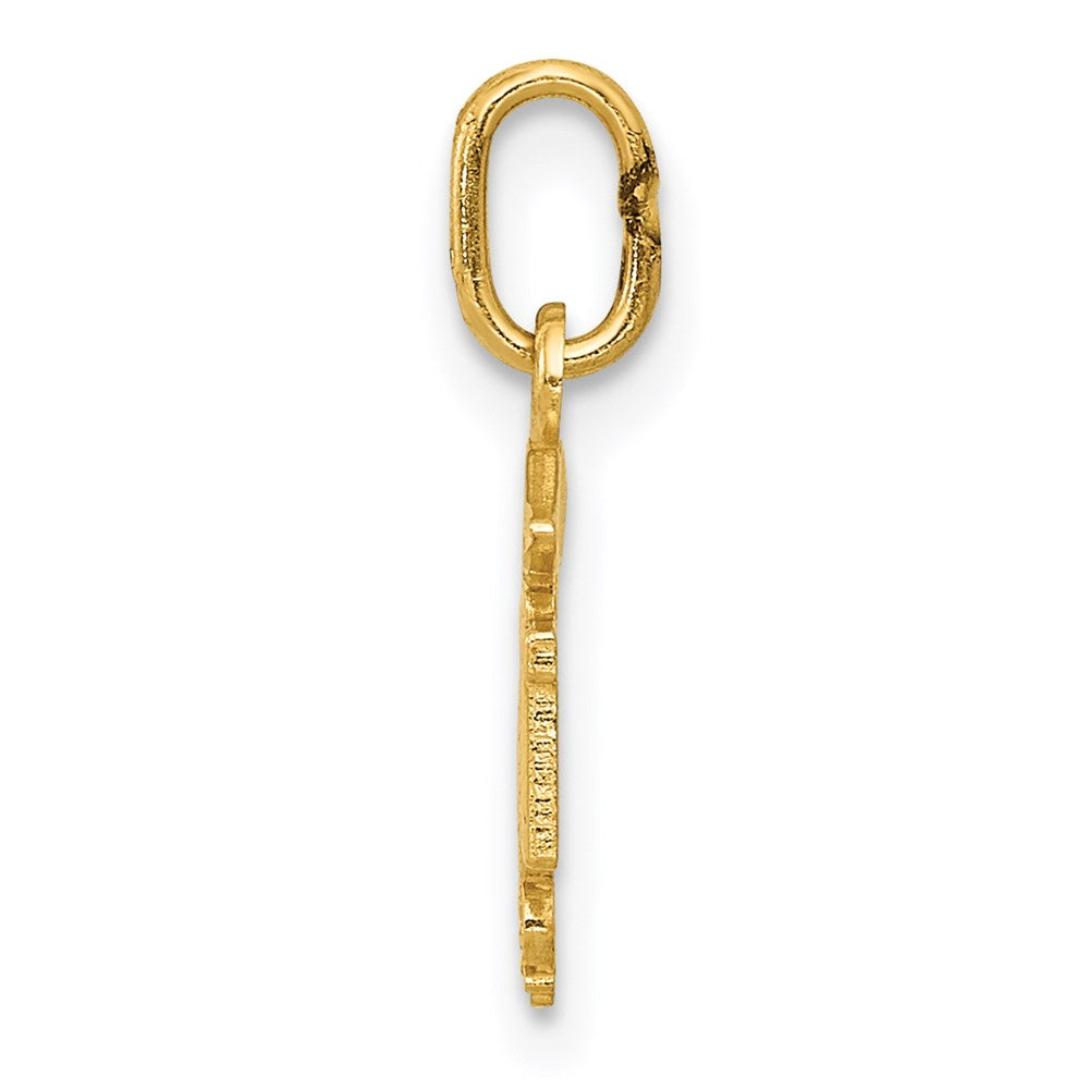 14K Yellow Gold Diamond-Cut Polished Rn Nurse Pendant
