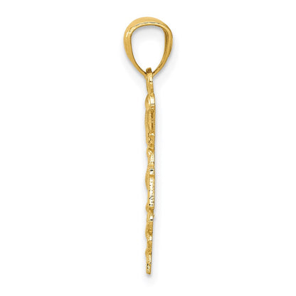 14K Yellow Gold Diamond-Cut Polished Rn Nurse Pendant
