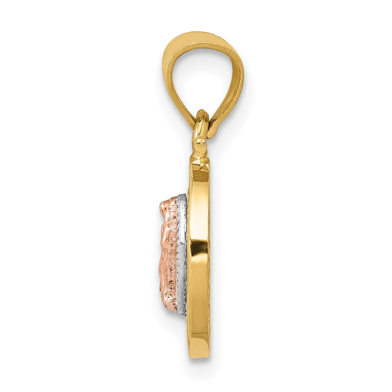 14K Two-Tone W/White Rhodium D/C Cz Lady Guadalupe Pendant