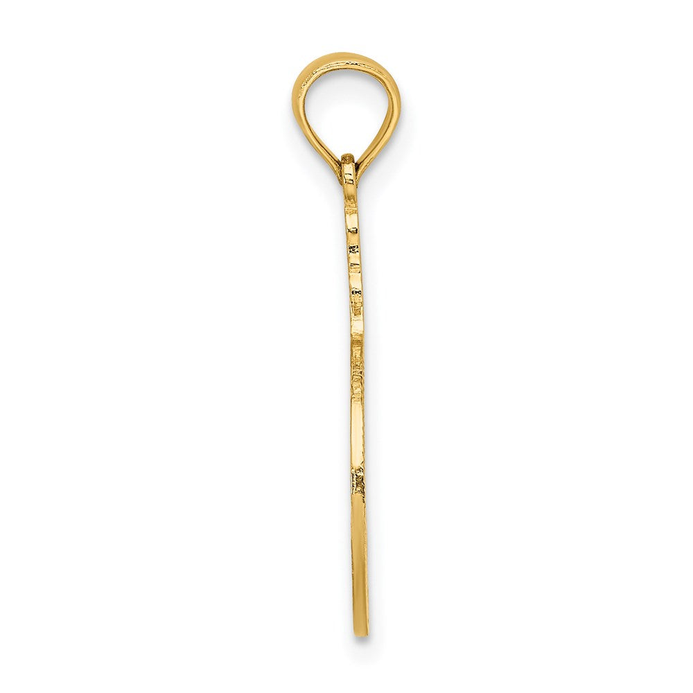 14K Yellow Gold Flamingos In Circle Charm