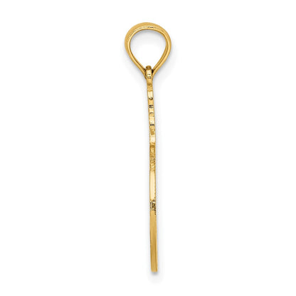 14K Yellow Gold Flamingos In Circle Charm