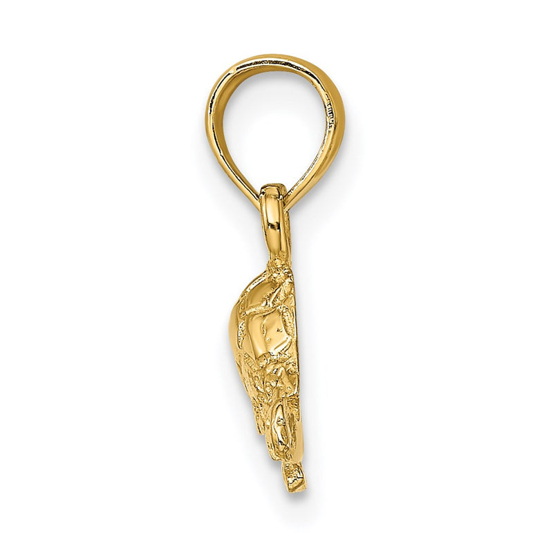 14K Yellow Gold Polished And Engraved Mini Turtle Charm