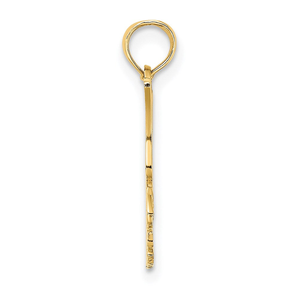 14K Yellow Gold Eagle Landing Charm