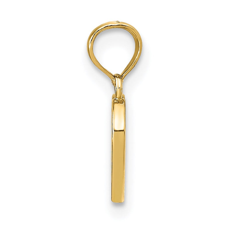 14K Yellow Gold Polished Enameled Heart Pendant