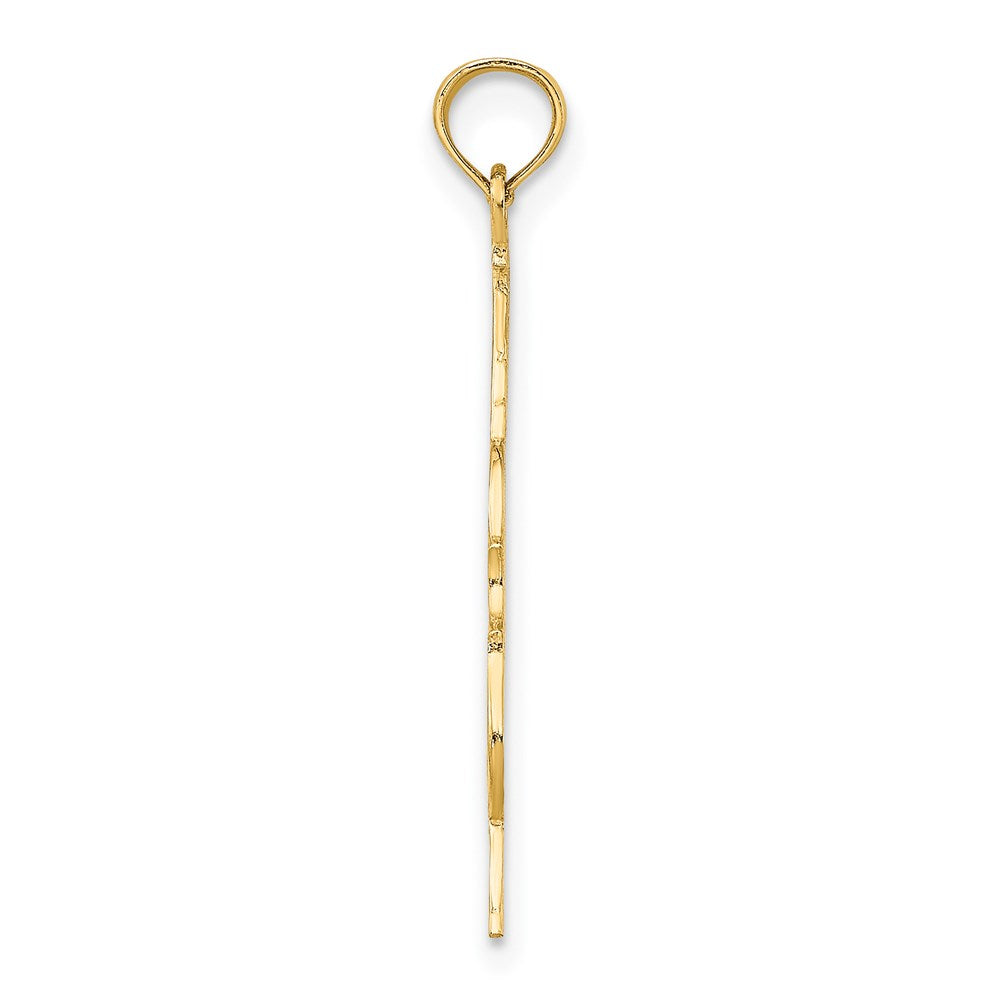 14K Yellow Gold Polished Engraved Upright Bass Charm