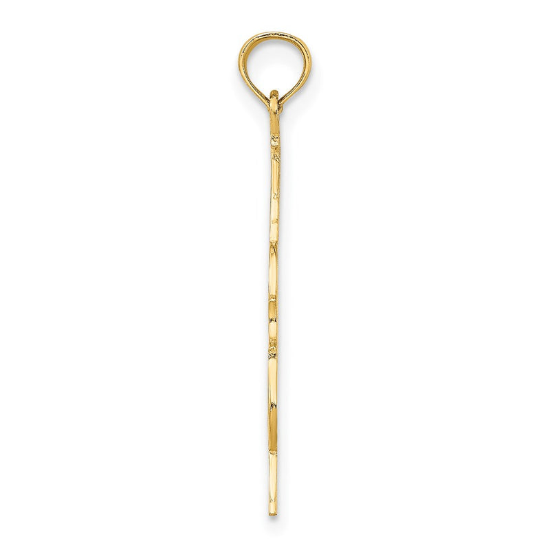 14K Yellow Gold Polished Engraved Upright Bass Charm