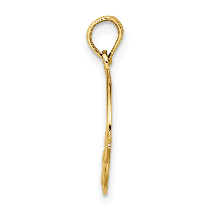 14K Yellow Gold Polished Round Claddagh Charm
