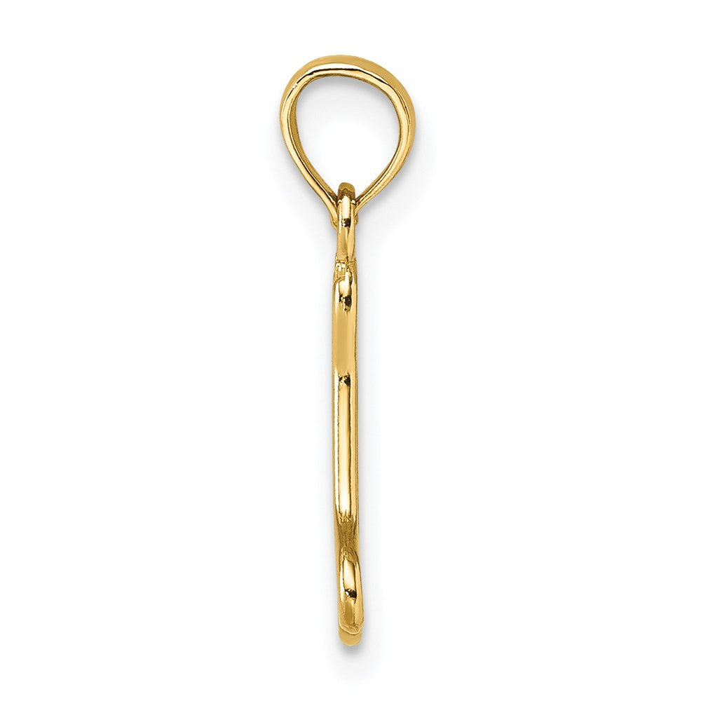 14K Yellow Gold Cut-Out Polished Mini Dog Bone Charm