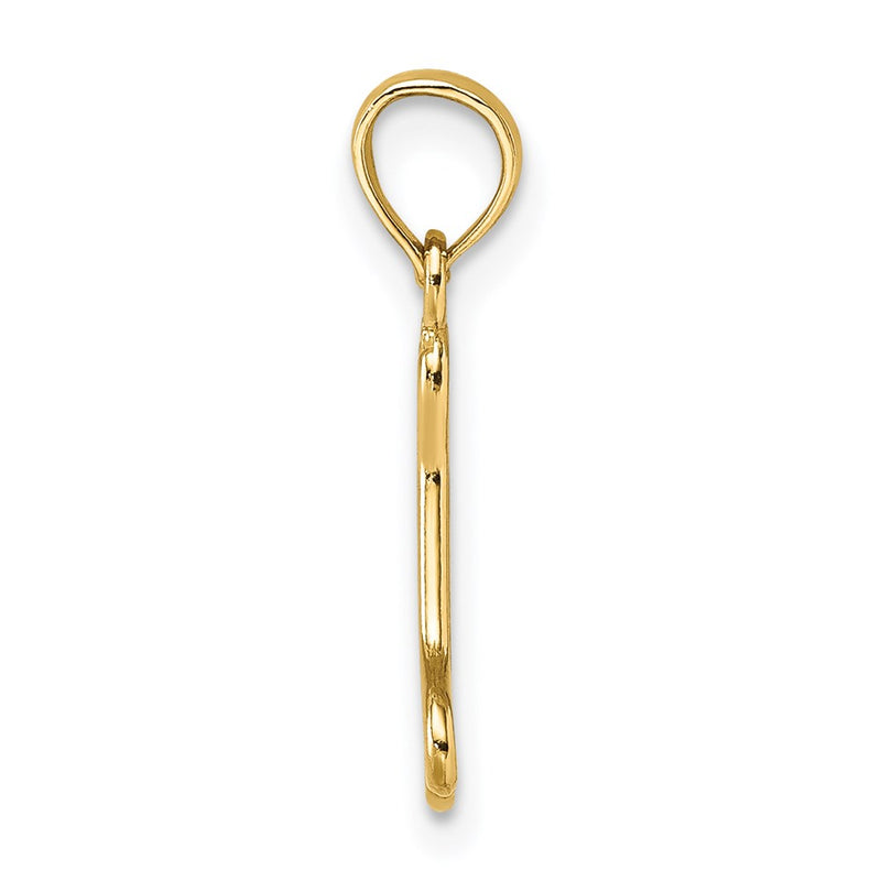 14K Yellow Gold Cut-Out Polished Mini Dog Bone Charm