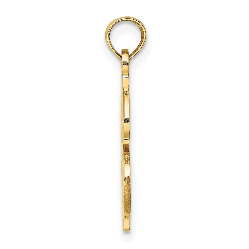 14K Yellow Gold Textured Dollar Sign Charm