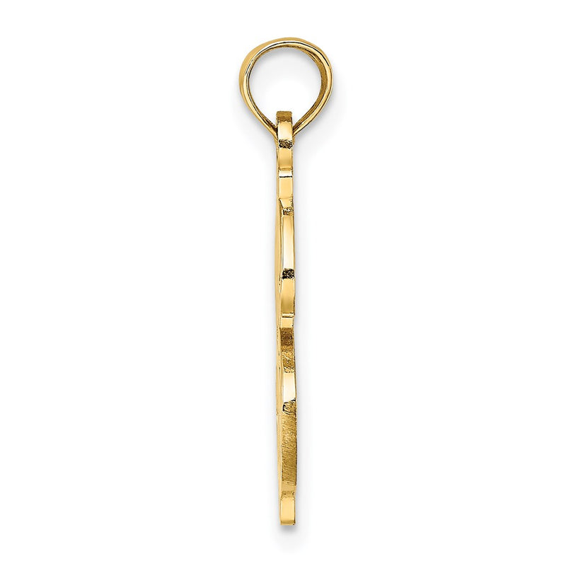 14K Yellow Gold Textured Dollar Sign Charm