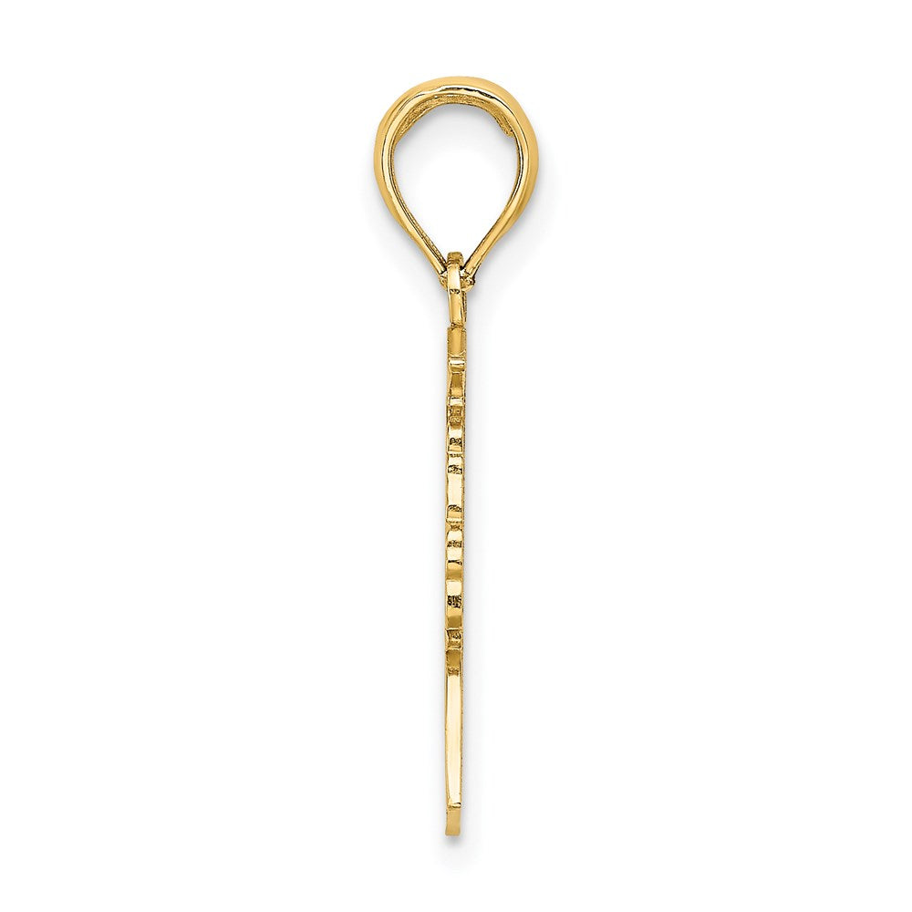 14K Yellow Gold Polished Female Graduation Profile W/ Diploma Charm