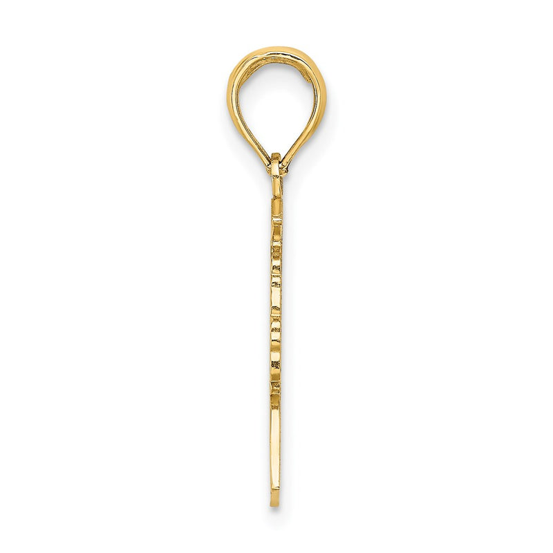 14K Yellow Gold Polished Female Graduation Profile W/ Diploma Charm