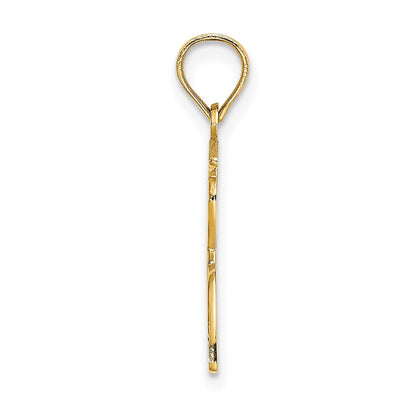 14K Yellow Gold Polished Male Graduation Profile Charm