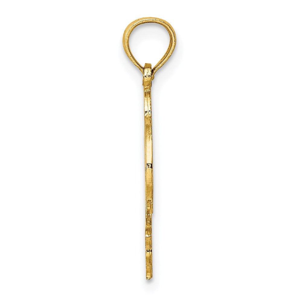 14K Yellow Gold Flat And Polished Dolphin Charm