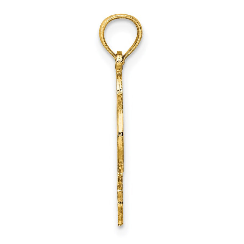 14K Yellow Gold Flat And Polished Dolphin Charm