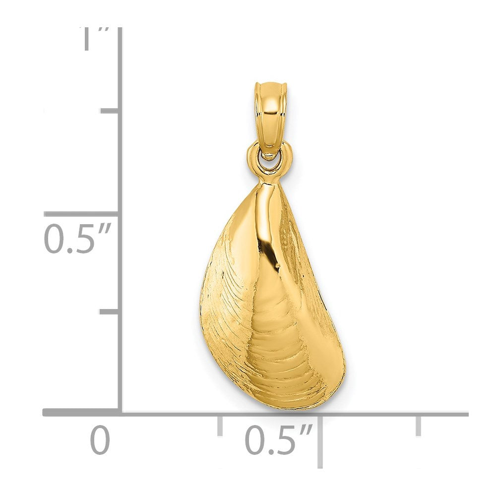 14K Yellow Gold Polished Mussel Shell Charm