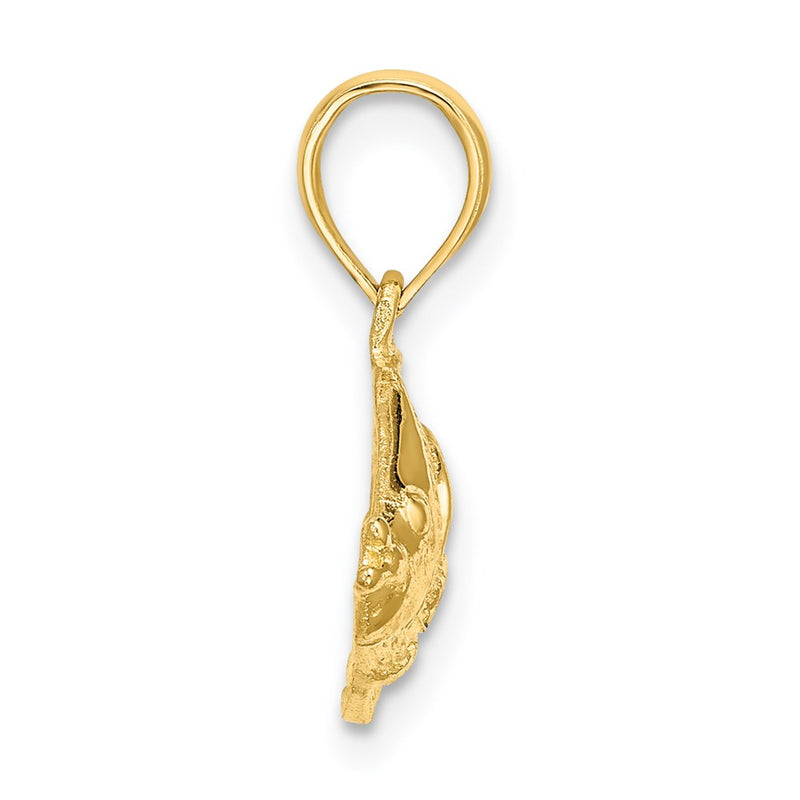 14K Yellow Gold Polished Textured Fish Charm