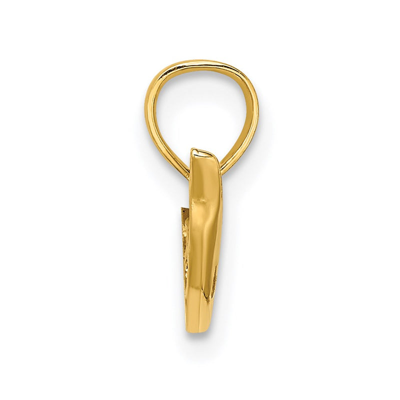 14K Yellow Gold Polished Mini Dolphin Charm