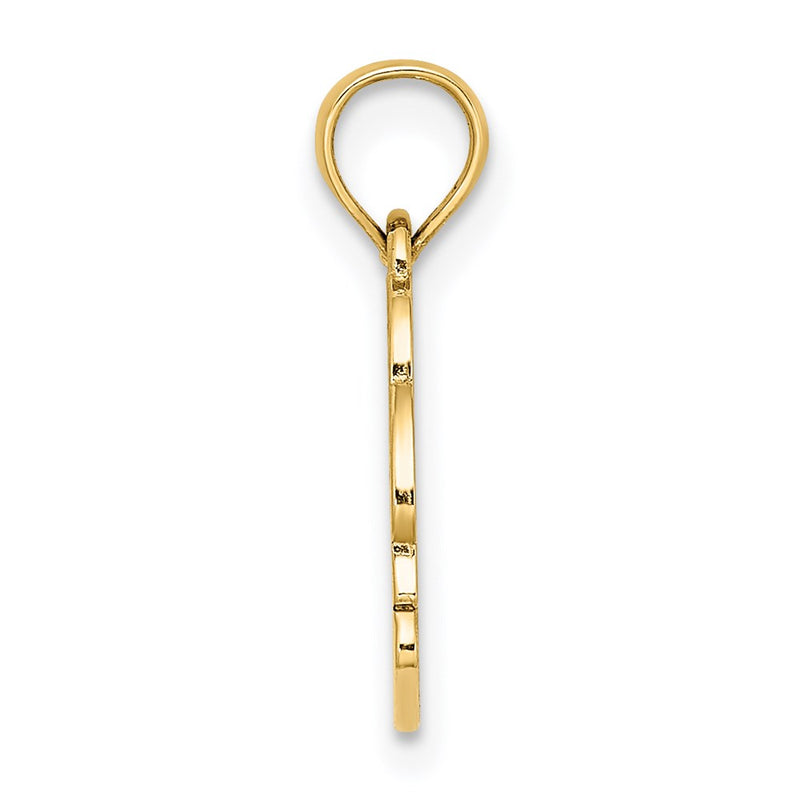 14K Yellow Gold Textured Nags Head W/ Dolphin Charm