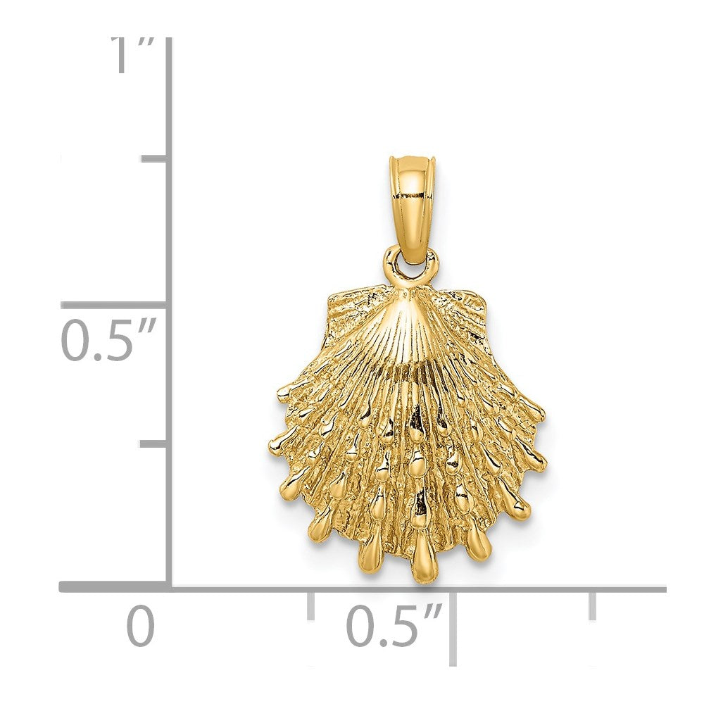 14K Yellow Gold Lion'S Paw Shell Charm
