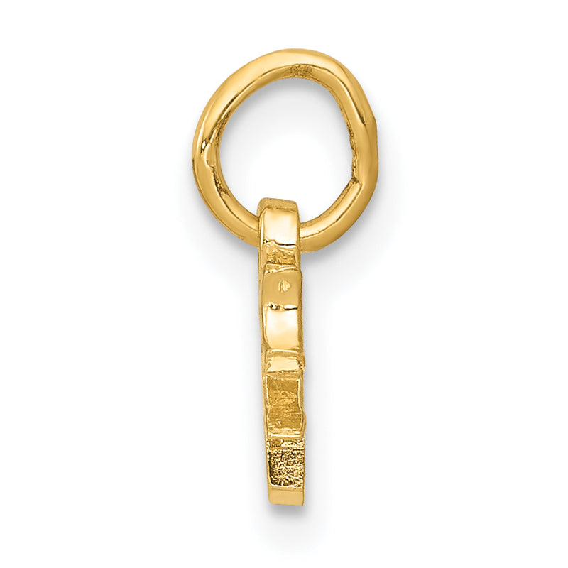 14K Yellow Gold Chinese Symbol Good Luck Charm