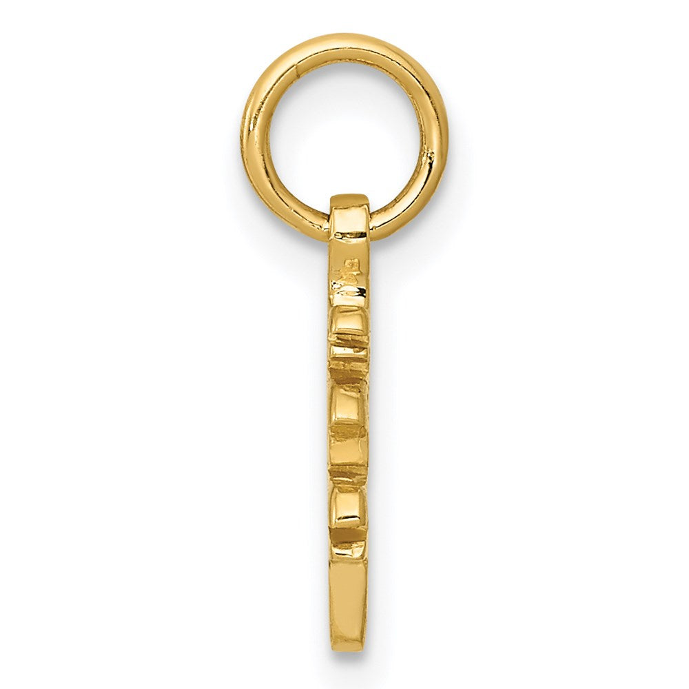 14K Yellow Gold Solid Polished Chinese Long Life Charm