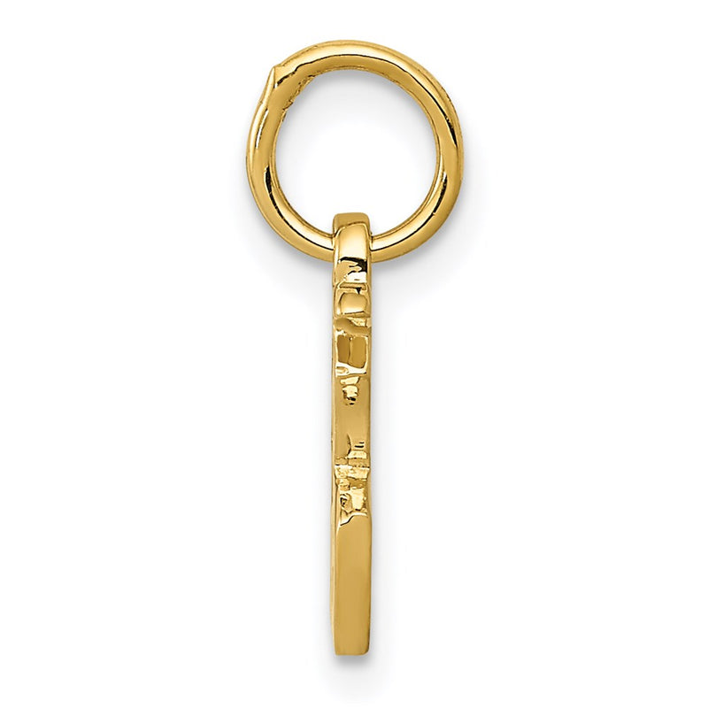 14K Yellow Gold Chinese Symbol Good Luck Charm