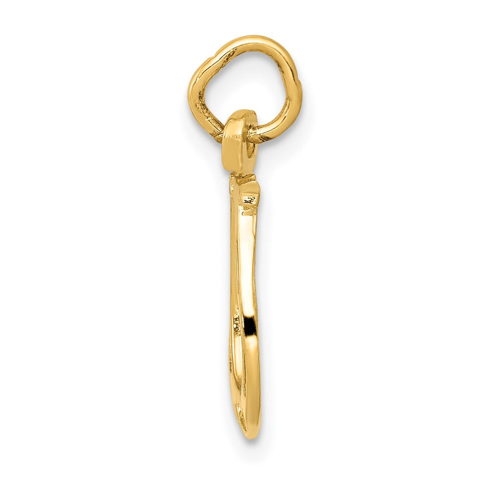 14K Yellow Gold Solid Polished Horseshoe Charm