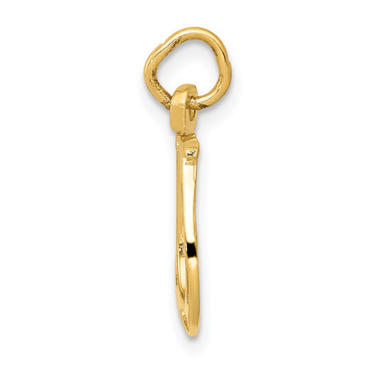14K Yellow Gold Solid Polished Horseshoe Charm
