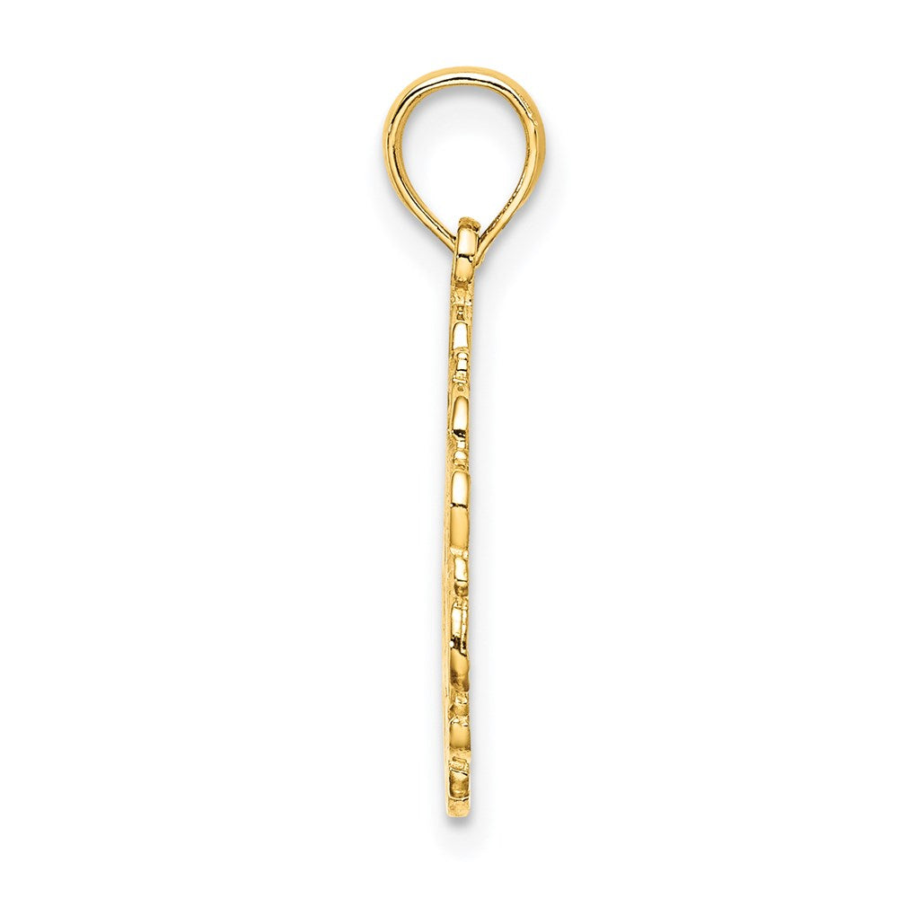14K Yellow Gold Star Of David In Scalloped Circle Charm