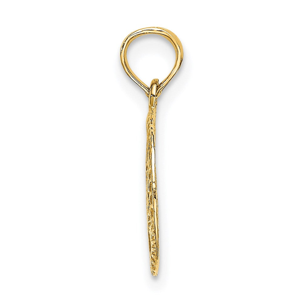 14K Yellow Gold Engraved Star Of David In Circle Charm